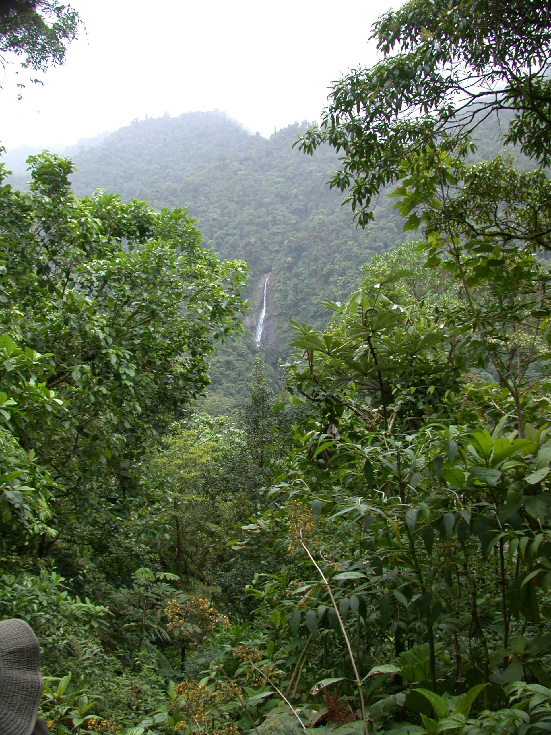 Waterfall at Tapantí National Park in Costa Rica 